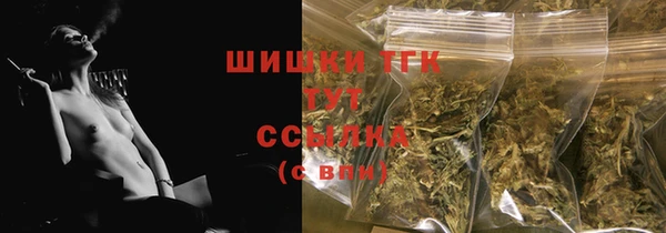 крисы Абаза