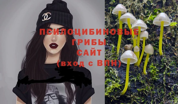 не бодяженный Алзамай