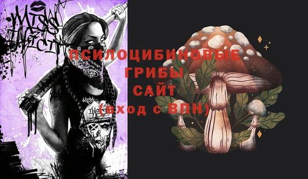 не бодяженный Алзамай