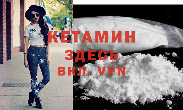 крисы Абаза