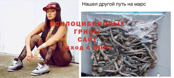 крисы Алексеевка