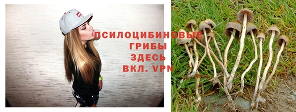 не бодяженный Алзамай