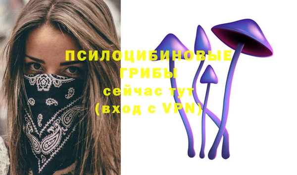 крисы Алексеевка