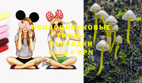 не бодяженный Алзамай