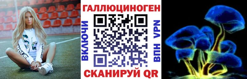 даркнет какой сайт  Батайск  Галлюциногенные грибы Psilocybine cubensis 