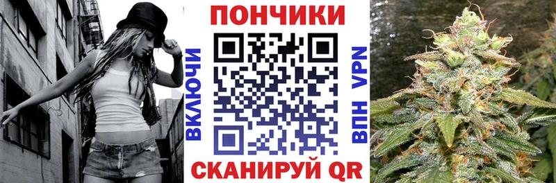 Шишки марихуана планчик  где найти наркотики  Батайск 
